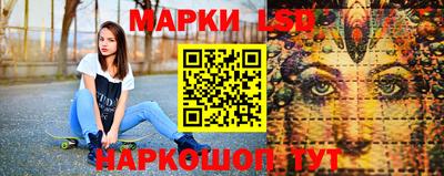 гашик Гатчина