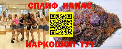 гашик Гатчина