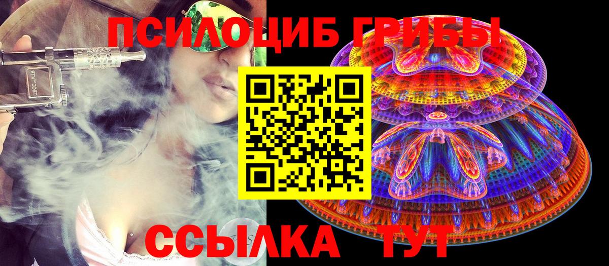 Новочебоксарск  Псилоцибиновые грибы Cubensis  Вход с VPN  Псилоцибиновые грибы мицелий 